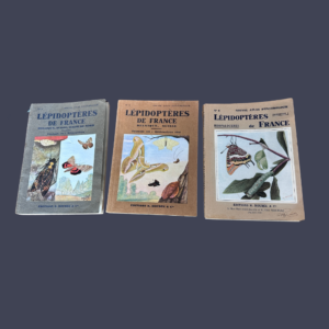 Atlas lépidoptères ancien